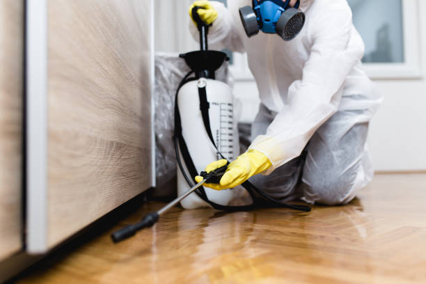 Best Ant Control Services  in Wd, AR