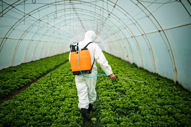Pest Control Cost in Ward, AR