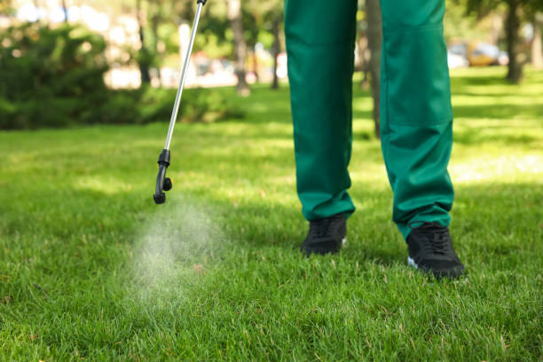 Best Wildlife Control Services  in Wd, AR