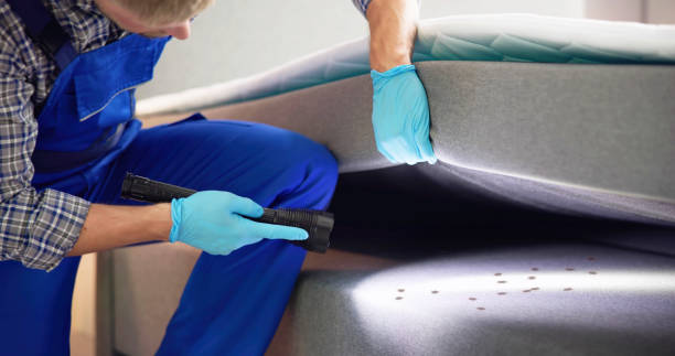 Best Emergency Pest Control  in Wd, AR