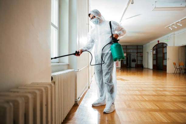 Best Pest Inspection Near Me  in Wd, AR