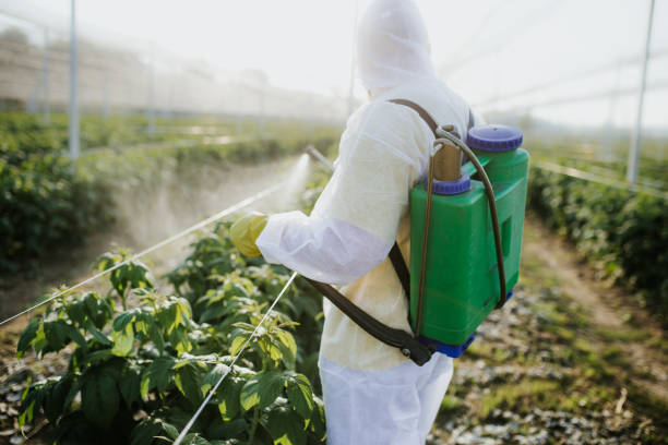 Best Pest Control Cost  in Wd, AR
